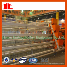 Jinfeng Poultry Farm Cage Proyecto Llave en Mano